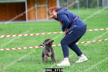 IMG_3710.jpg