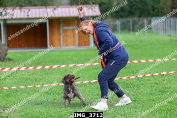 IMG_3712.jpg