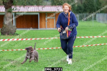 IMG_3721.jpg