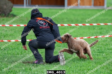 IMG_4013.jpg