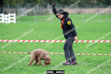 IMG_4062.jpg