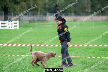 IMG_4064.jpg