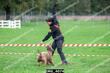 IMG_4074.jpg