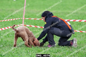 IMG_4076.jpg