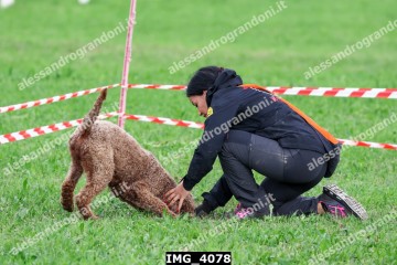 IMG_4078.jpg
