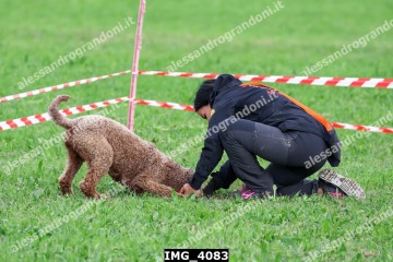 IMG_4083.jpg