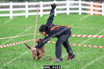 IMG_4101.jpg