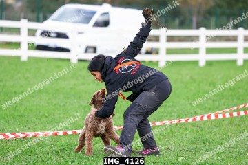 IMG_4126.jpg