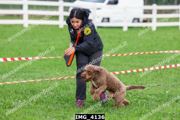 IMG_4136.jpg