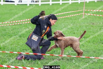 IMG_4169.jpg