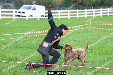 IMG_4174.jpg