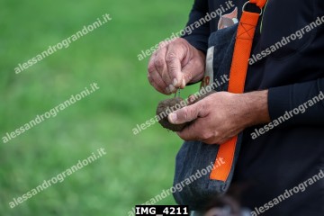 IMG_4211.jpg