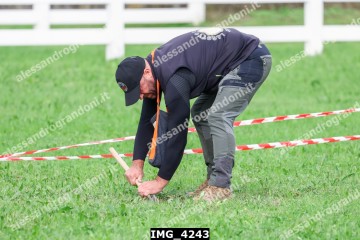 IMG_4243.jpg