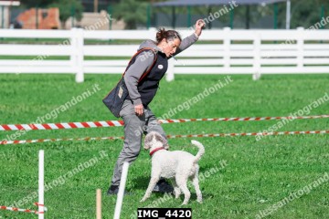 IMG_4420.jpg
