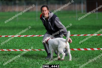IMG_4442.jpg