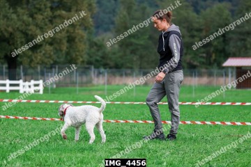 IMG_4456.jpg
