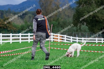 IMG_4460.jpg