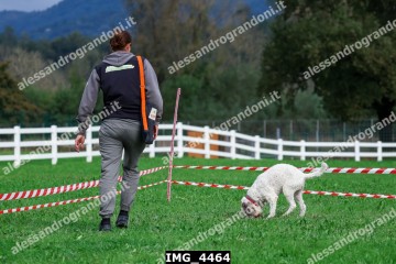 IMG_4464.jpg