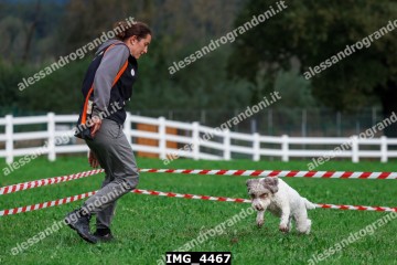 IMG_4467.jpg