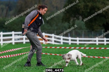 IMG_4473.jpg