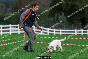 IMG_4477.jpg