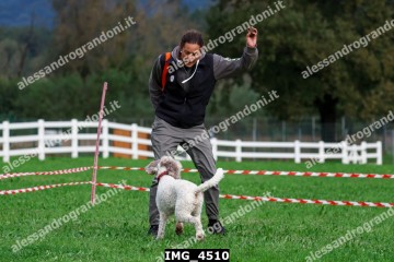 IMG_4510.jpg