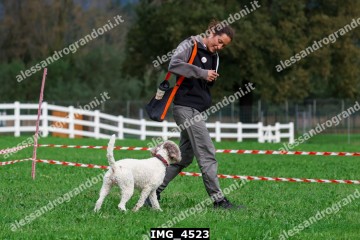 IMG_4523.jpg