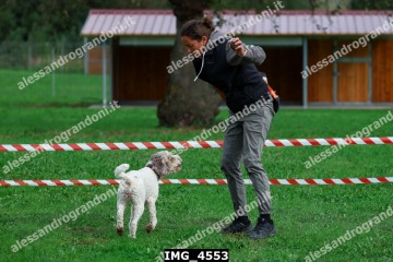 IMG_4553.jpg