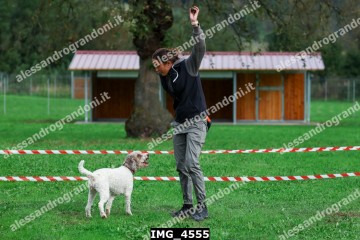 IMG_4555.jpg