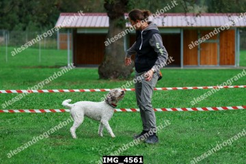 IMG_4561.jpg