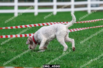 IMG_4590.jpg