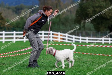 IMG_4616.jpg