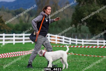IMG_4621.jpg