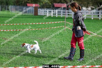 IMG_4685.jpg