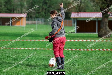 IMG_4715.jpg