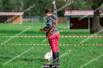 IMG_4718.jpg