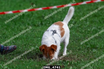 IMG_4741.jpg
