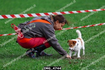 IMG_4744.jpg