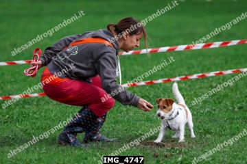 IMG_4747.jpg