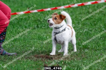IMG_4749.jpg
