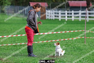 IMG_4756.jpg