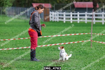 IMG_4763.jpg