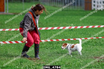 IMG_4784.jpg