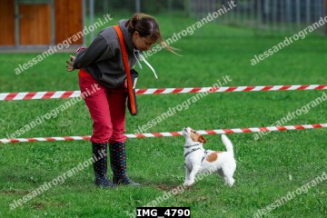 IMG_4790.jpg