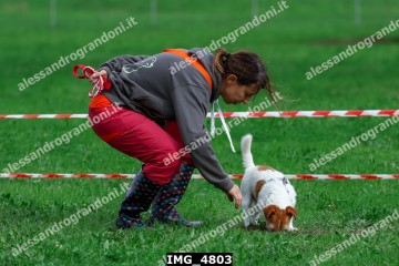 IMG_4803.jpg