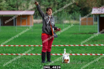 IMG_4829.jpg