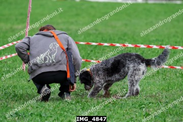 IMG_4847.jpg
