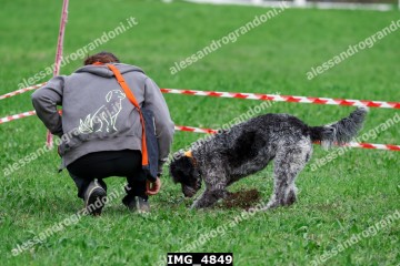 IMG_4849.jpg