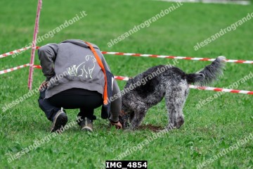 IMG_4854.jpg