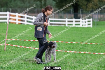 IMG_4865.jpg